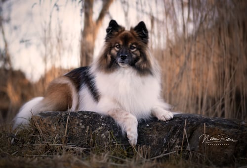DSC_0069 DSC_0069