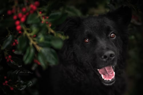 DSC_8951-L DSC_8951-L